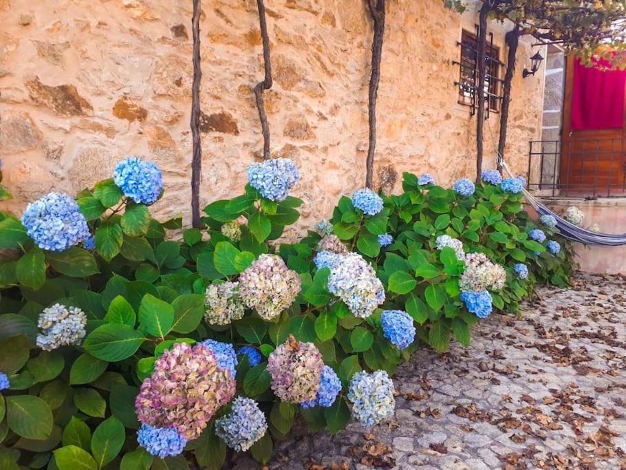 Quintinha De Santiago Βίλα Oliveira de Azemeis Εξωτερικό φωτογραφία